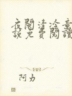 夜阑清冷意欢小说免费阅读