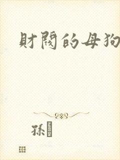 财阀的母狗们