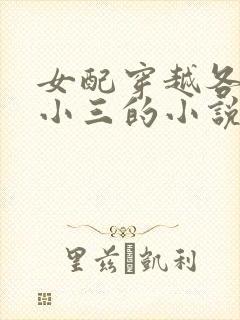 女配穿越各个做小三的小说
