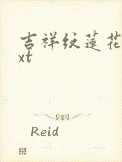 吉祥纹莲花楼txt封面