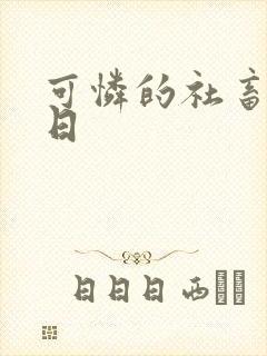可怜的社畜东度日