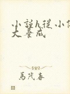 小说h从小做到大养成