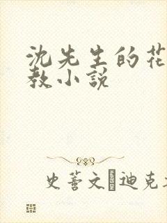 沈先生的花式调教小说