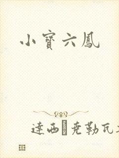 小宝六凤