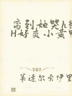 脔到她哭h粗话H好爽小黄鸭视频