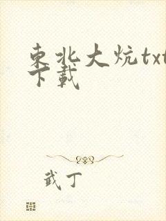 东北大炕txt下载