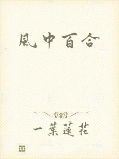 风中百合封面