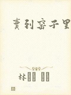 卖到窑子里np封面