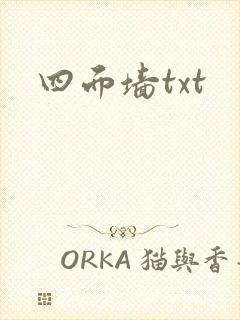 四面墙txt