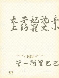 太子妃沈音和皇上的宠文小说