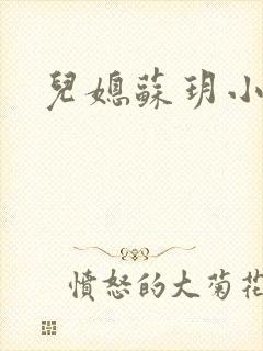 儿媳苏玥小说封面