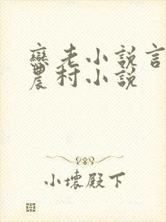 恋老小说言情网农村小说