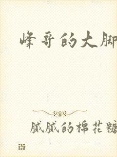 峰哥的大脚