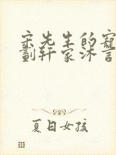 宋先生的宠妻计划轩家沐言