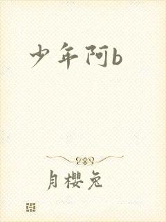 少年阿b封面