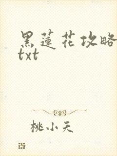 黑莲花攻略手册txt