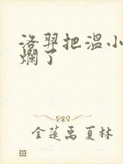 洛羿把温小辉做烂了