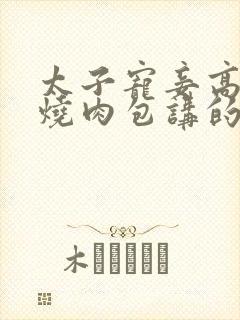 太子宠妾高肉红烧肉包讲的什么
