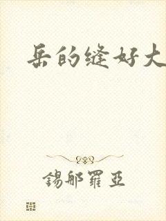 岳的缝好大封面