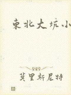 东北大坑小说封面