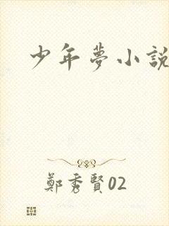 少年梦小说