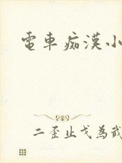 电车痴汉小说封面