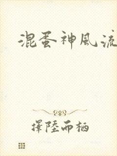 混蛋神风流记