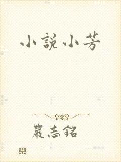 小说小芳