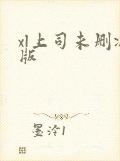 xl上司未删减版