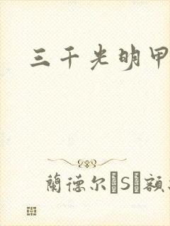 三千光明甲封面
