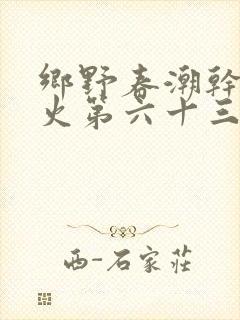 乡野春潮干柴烈火第六十三章