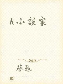 h小说家