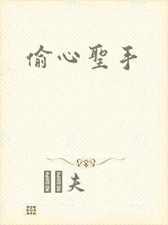 偷心圣手