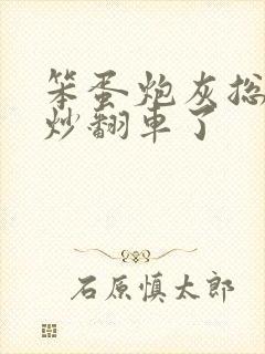 笨蛋炮灰总被爆炒翻车了