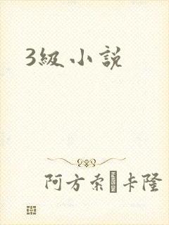 3级小说