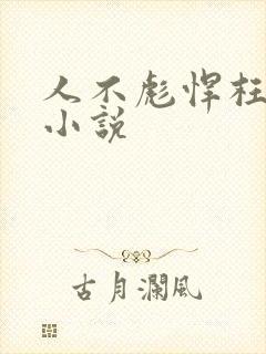 人不彪悍枉少年小说