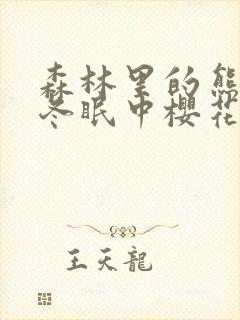 森林里的熊先生冬眠中樱花动漫