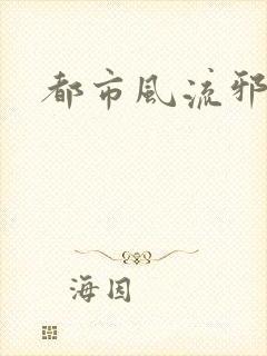 都市风流邪少封面