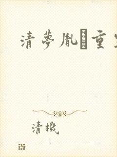 清梦胤礽重生封面
