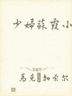 少妇苏霞小说封面