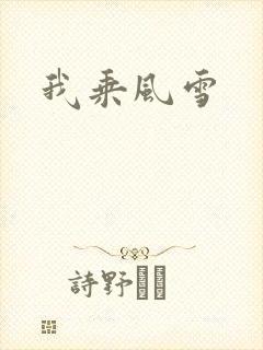 我乘风雪