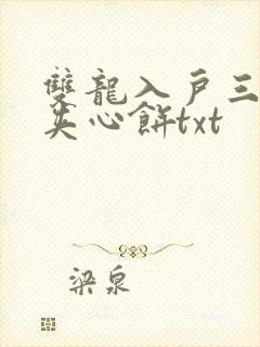 双龙入户三人行夹心饼txt