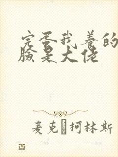 完蛋我养的小白脸是大佬