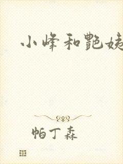 小峰和艳姨封面