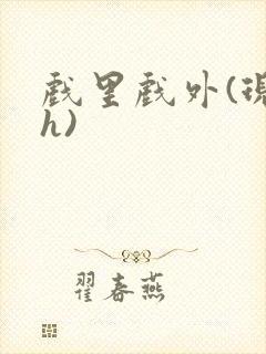 戏里戏外(现场h)