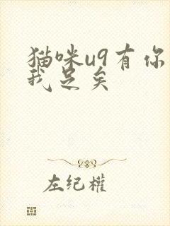 猫咪u9有你有我足矣封面