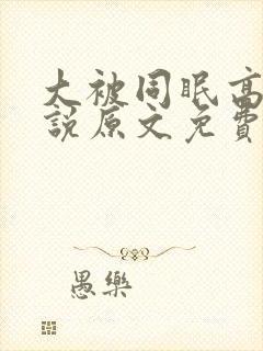 大被同眠高粱小说原文免费阅读