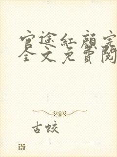 官途红颜完整版全文免费阅读封面