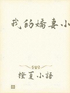 我的娇妻小说