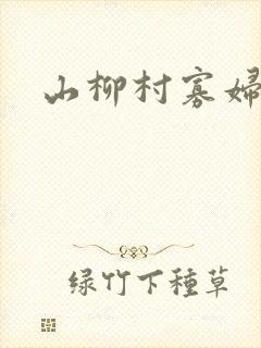 山柳村寡妇情史